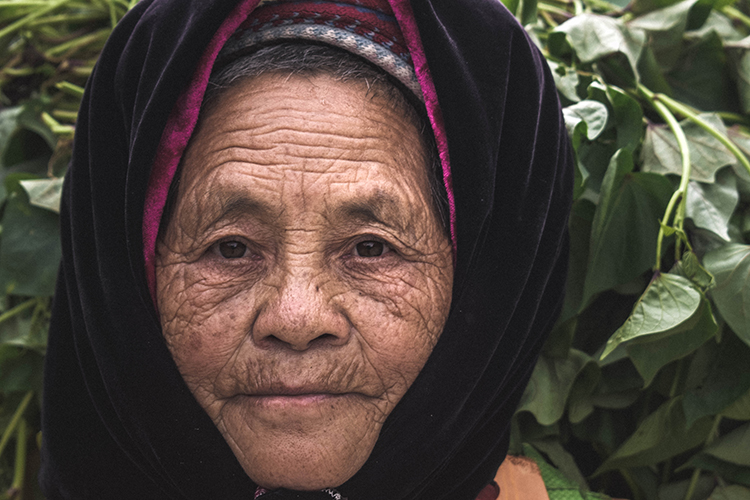 Social survey data in conflict–affected settings